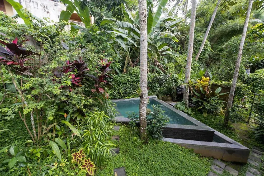 Holiday home Treehouse With Private Pool Near Yogabarn - In Ubud Center Villa